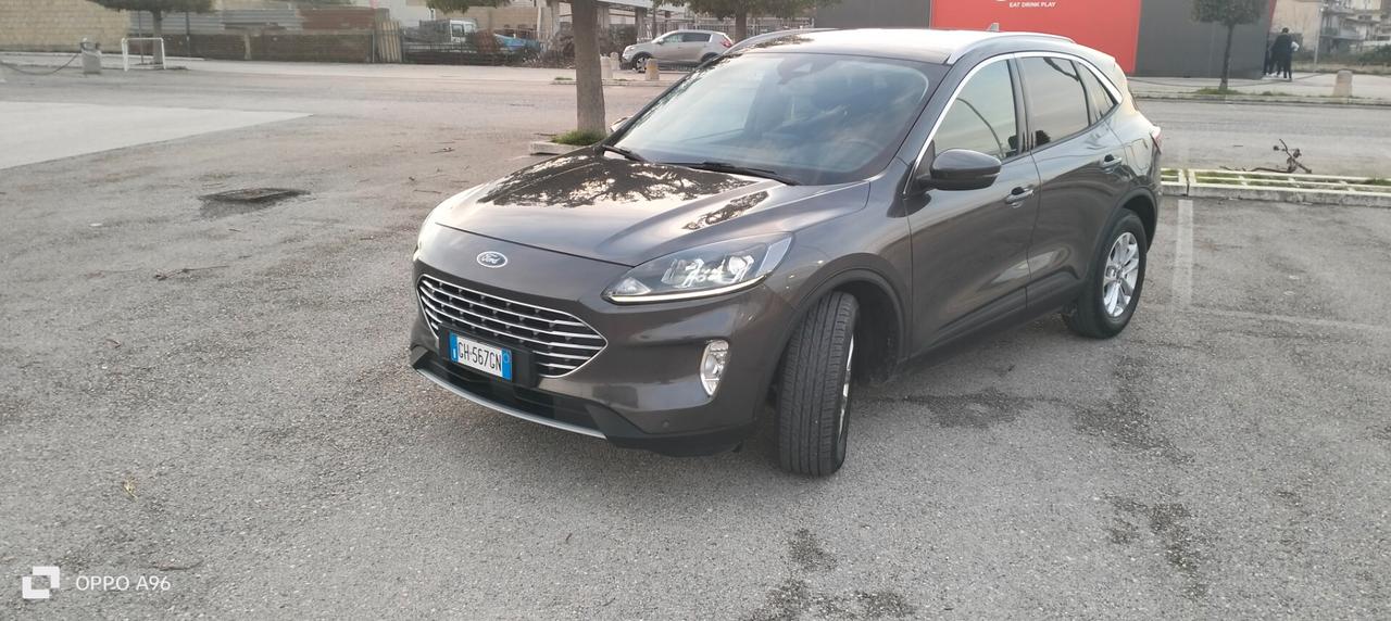 Ford Kuga 1.5 EcoBlue 120 CV aut. 2WD Connect