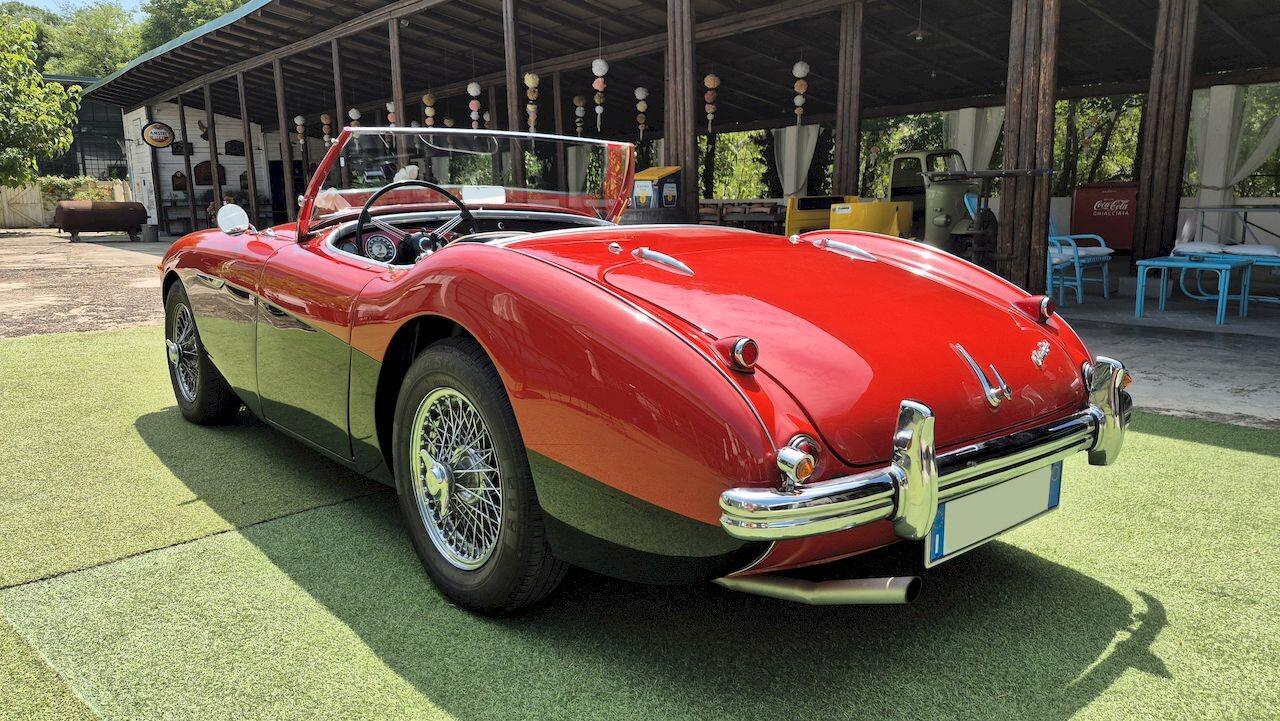 Austin-Healey 100 BN1 – 1954 - SUMMER PRICE