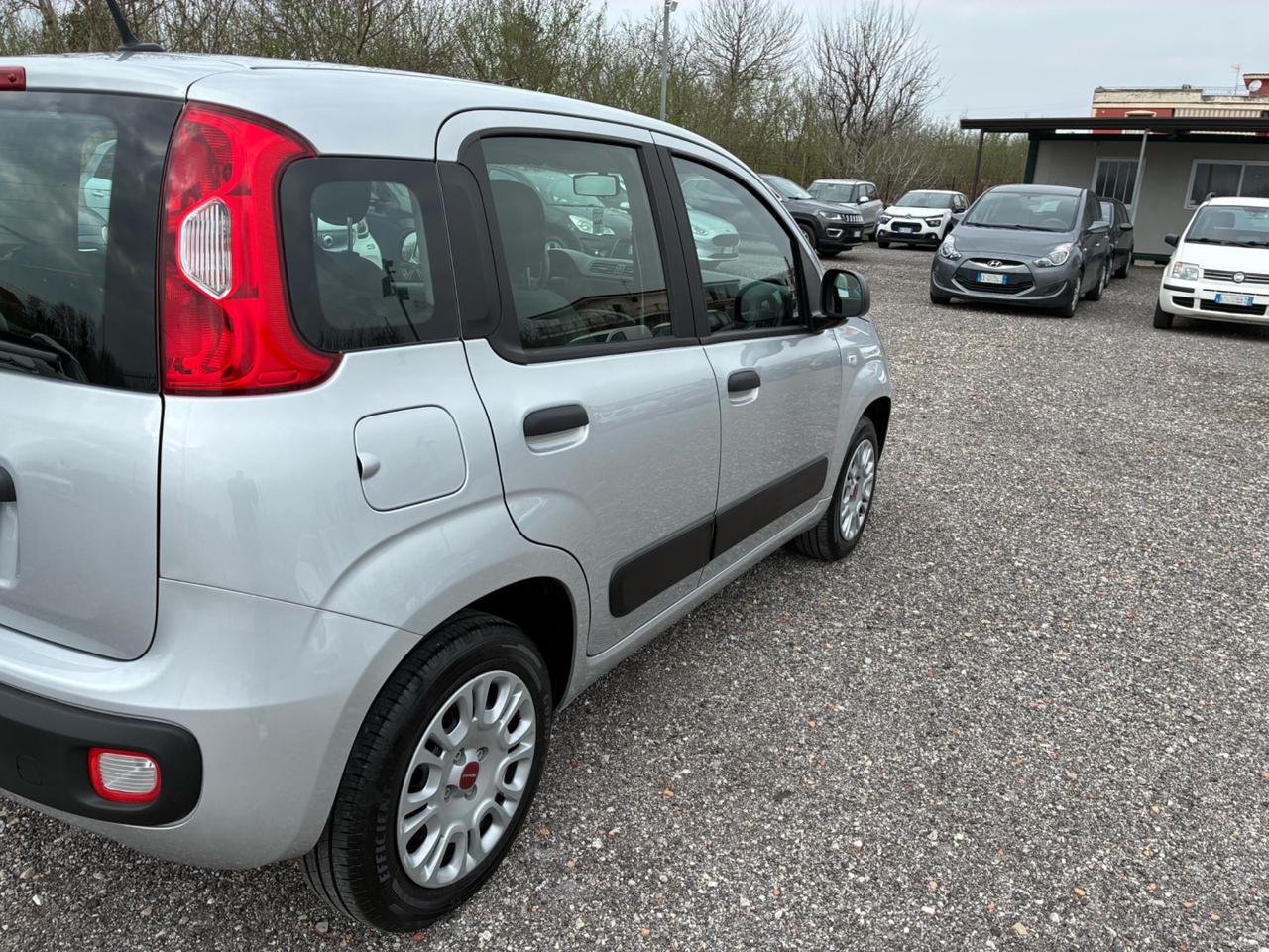 Fiat Panda 1.2 69cv - 2021
