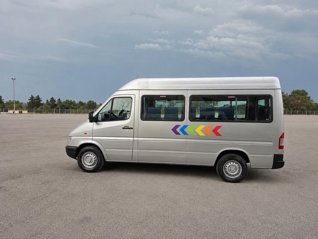 Mercedes Sprinter 311 - 9 Posti Trasporto Disabili