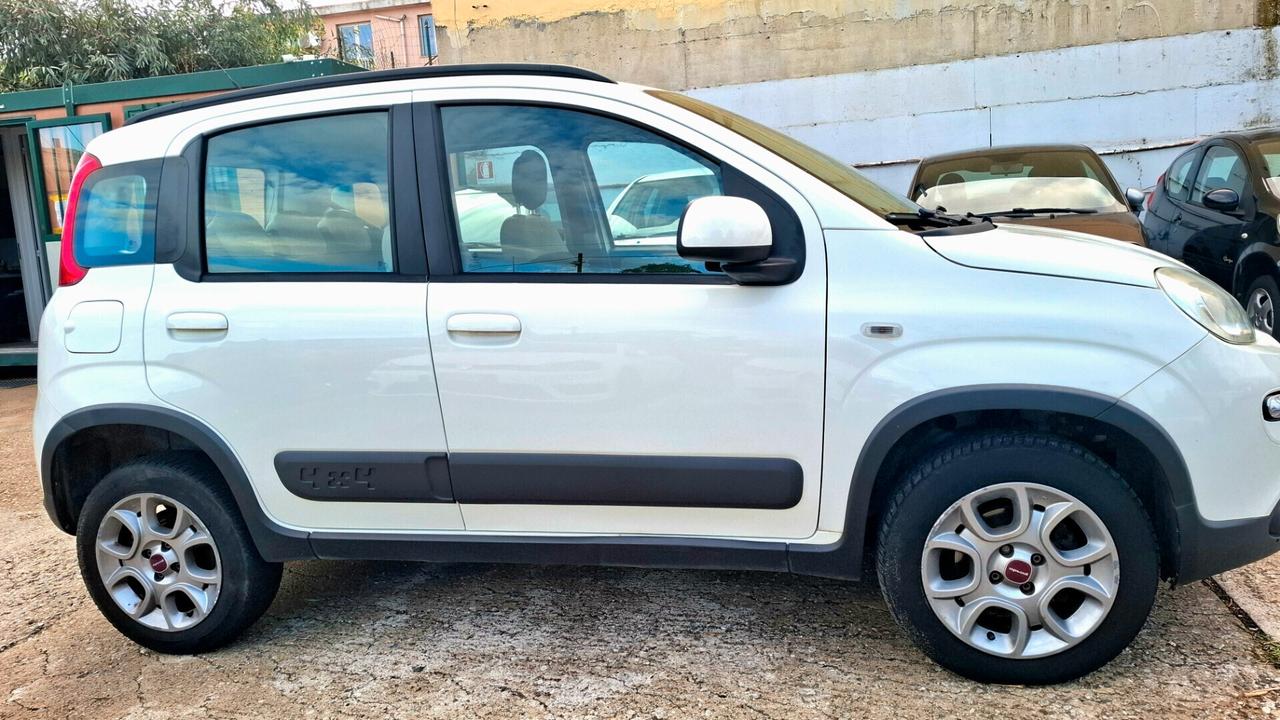 Fiat Panda 1.3 MJT S&S 4x4 Antartica