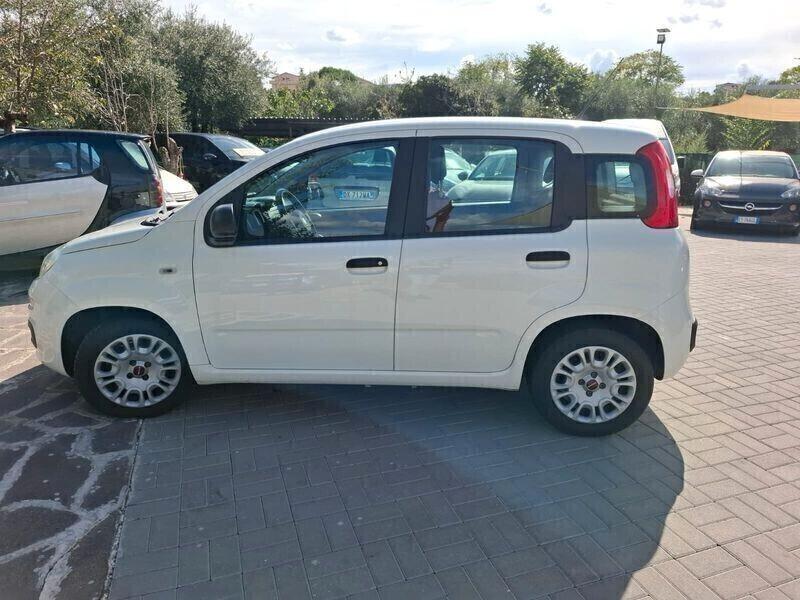 Fiat Panda 1.2 benzina EASY 69cv anno 2018