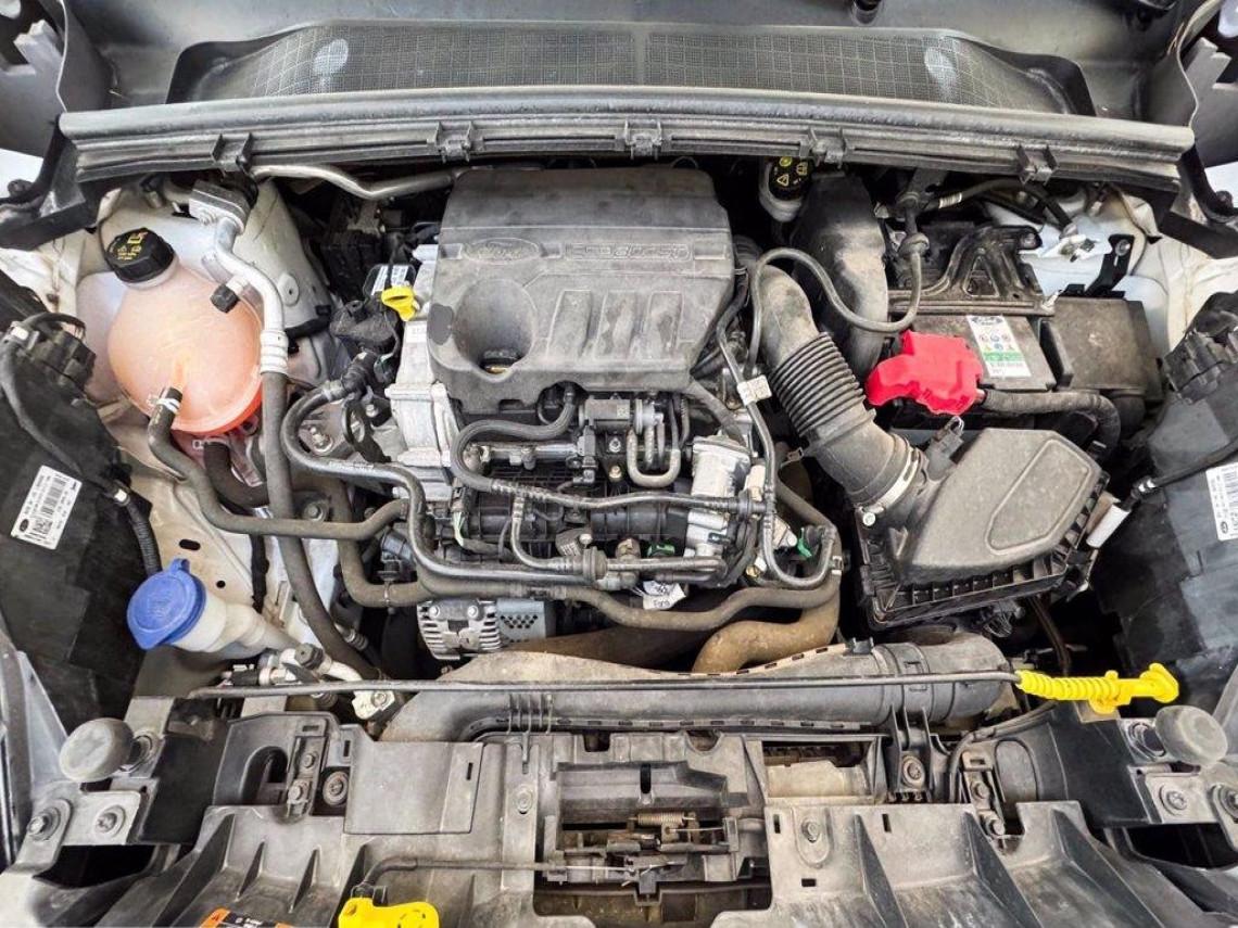 FORD Puma 1 0 ecoboost h titanium ses 125cv