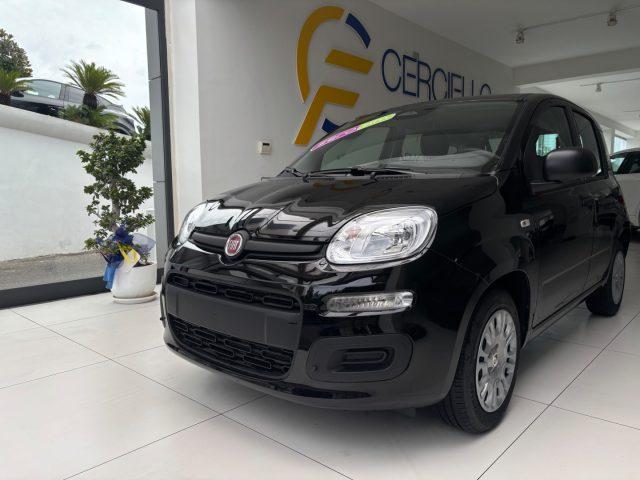 FIAT Panda 1.0 FireFly S&S Hybrid da ?139,00 mensili
