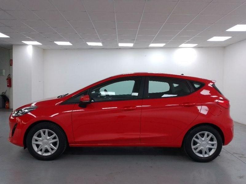 Ford Fiesta 5p 1.1 Plus Gpl 75cv