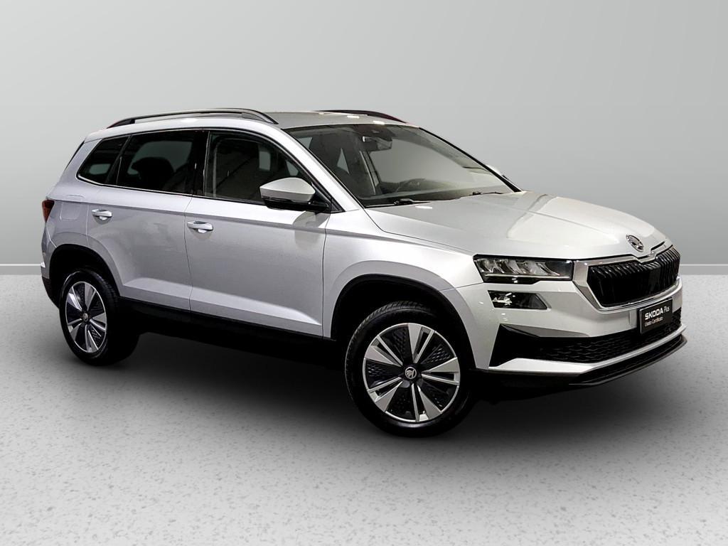 Skoda Karoq 2.0 tdi evo Executive 115cv dsg