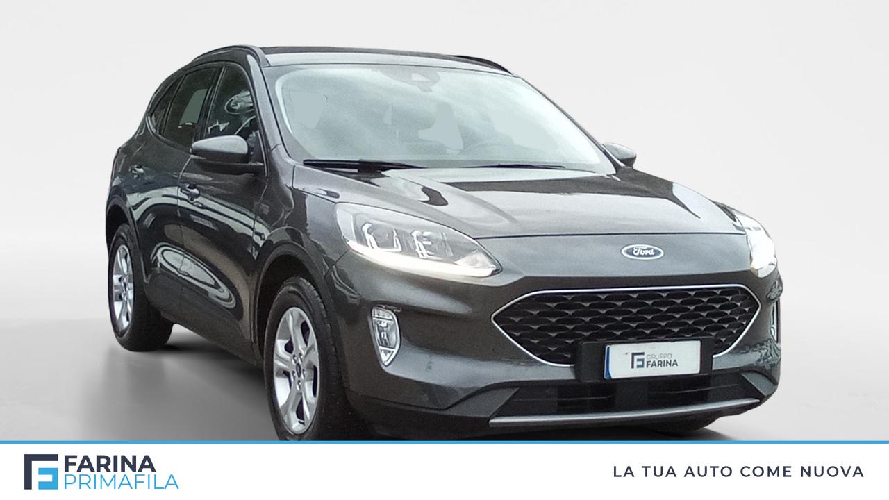 FORD Kuga III 2020 - Kuga 1.5 ecoblue Connect 2wd 120cv