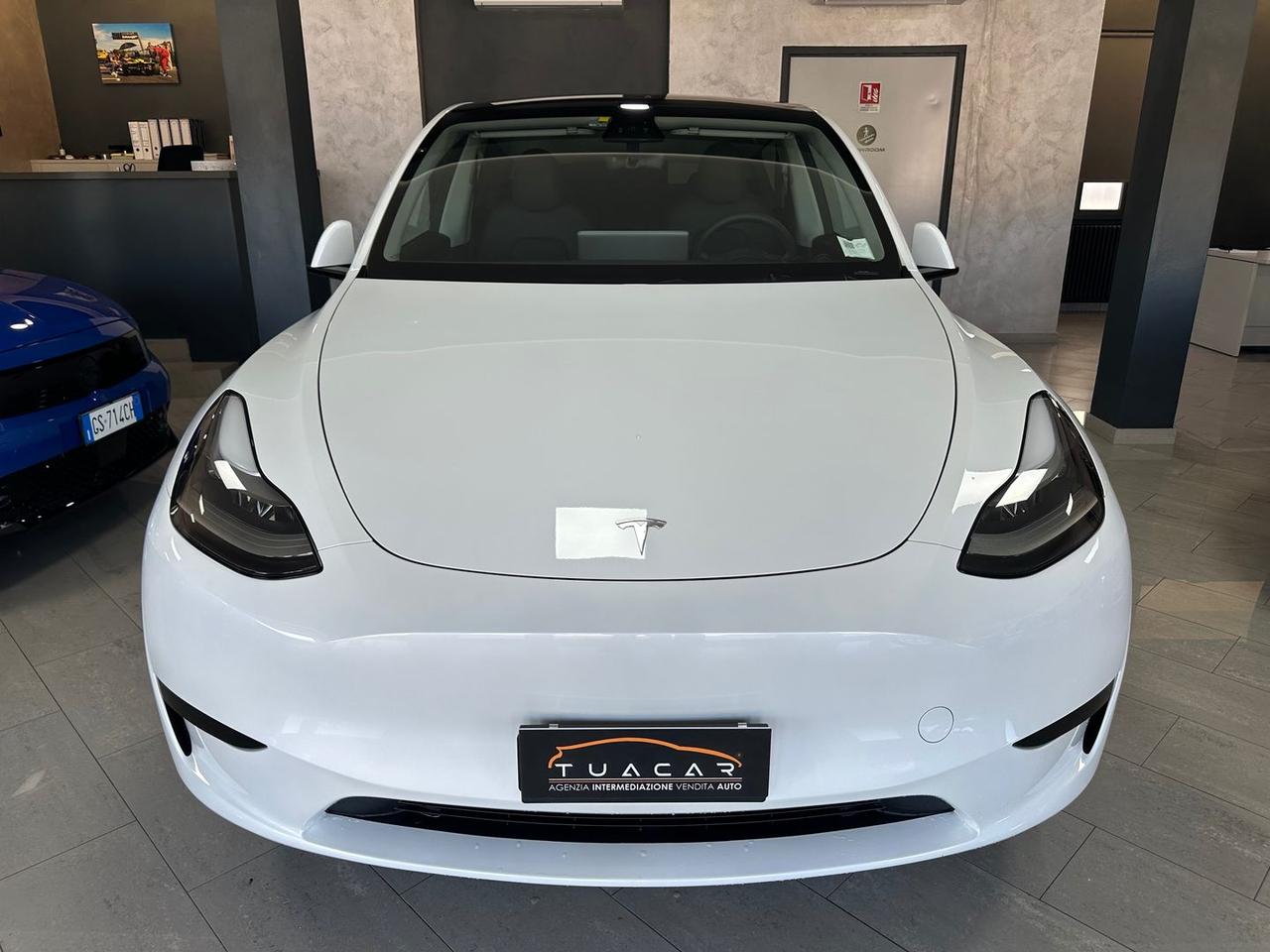 Tesla Model Y Standard Range RWD single moto #6584
