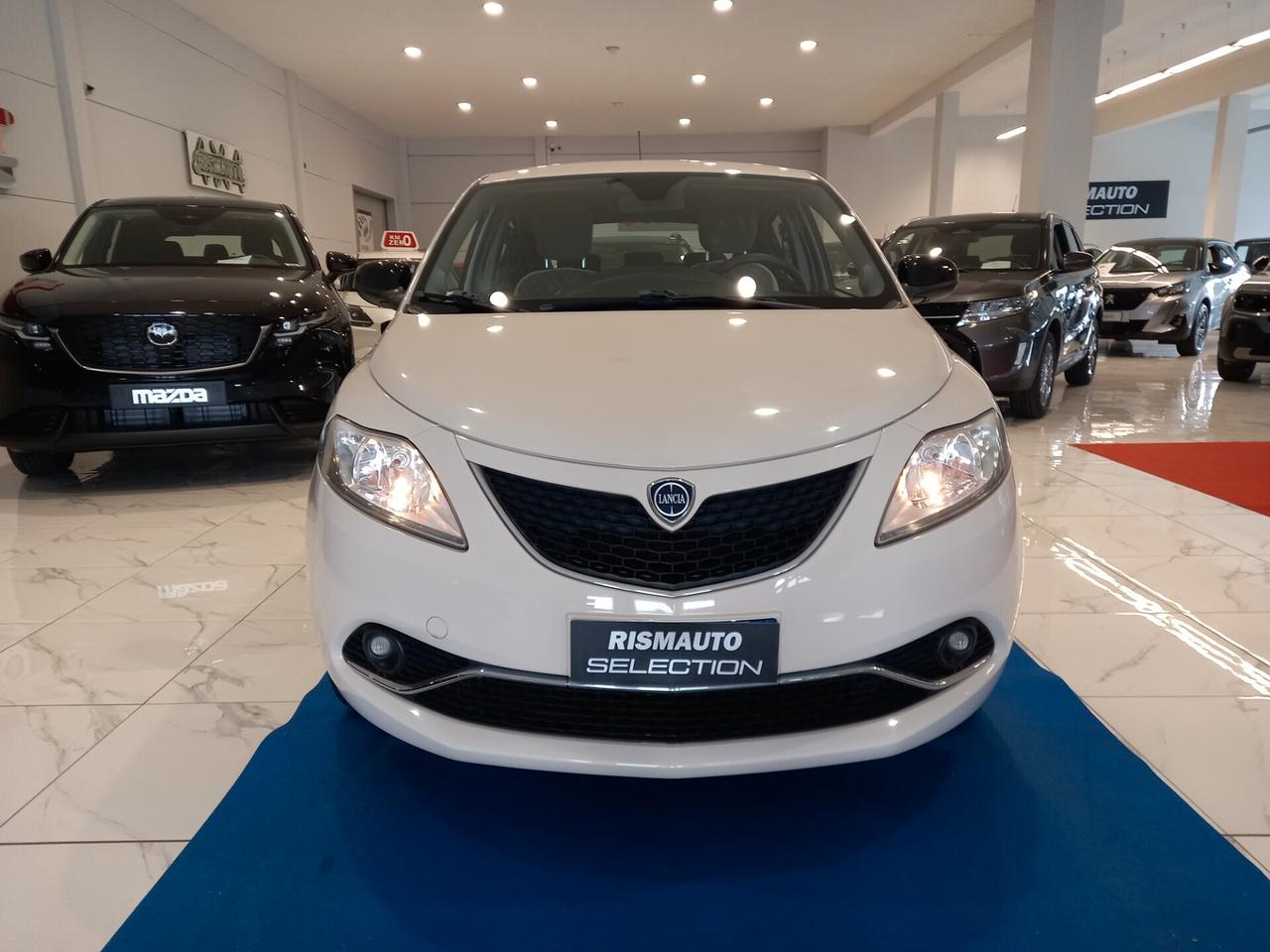 Lancia Ypsilon 1.2 69 CV 5 porte 77000 km Neopatentati