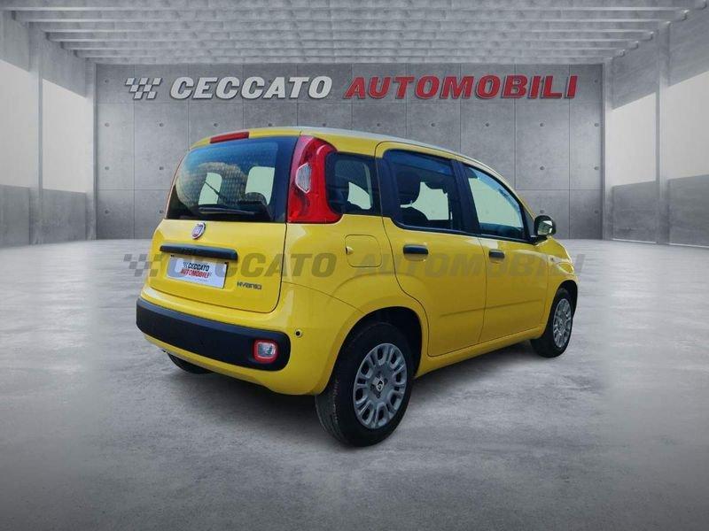 FIAT Panda Panda 1.0 firefly hybrid s&s 70cv