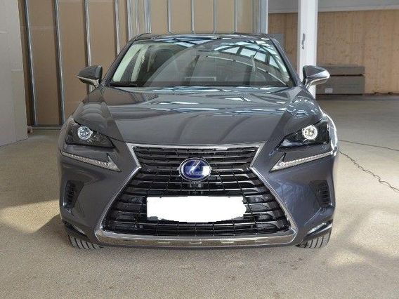 LEXUS NX Hybrid 4WD Executive