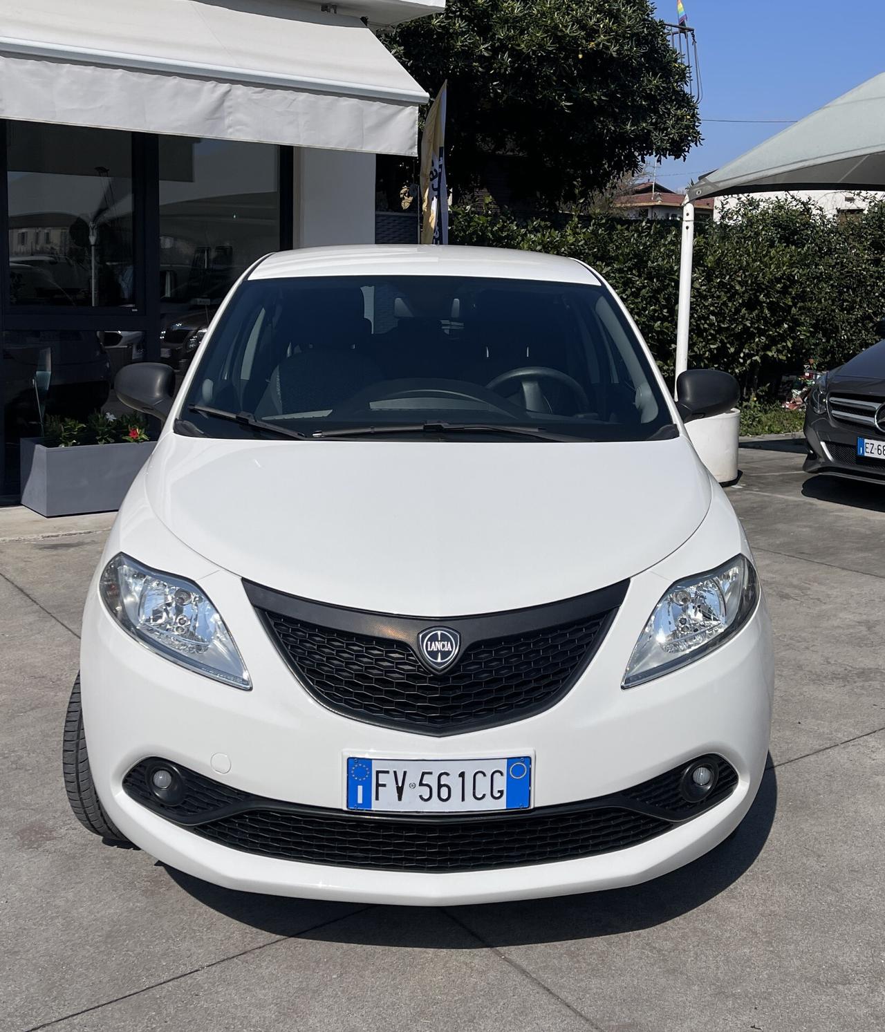 Lancia Ypsilon 1.2 5 porte Elefantino