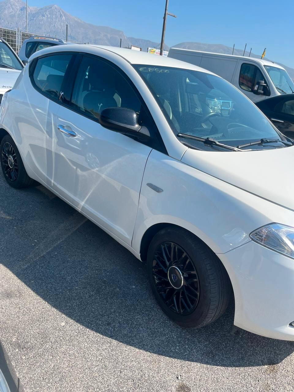 Lancia Ypsilon 1.3 MJT 16V 95 CV 5 porte S&S Elefantino