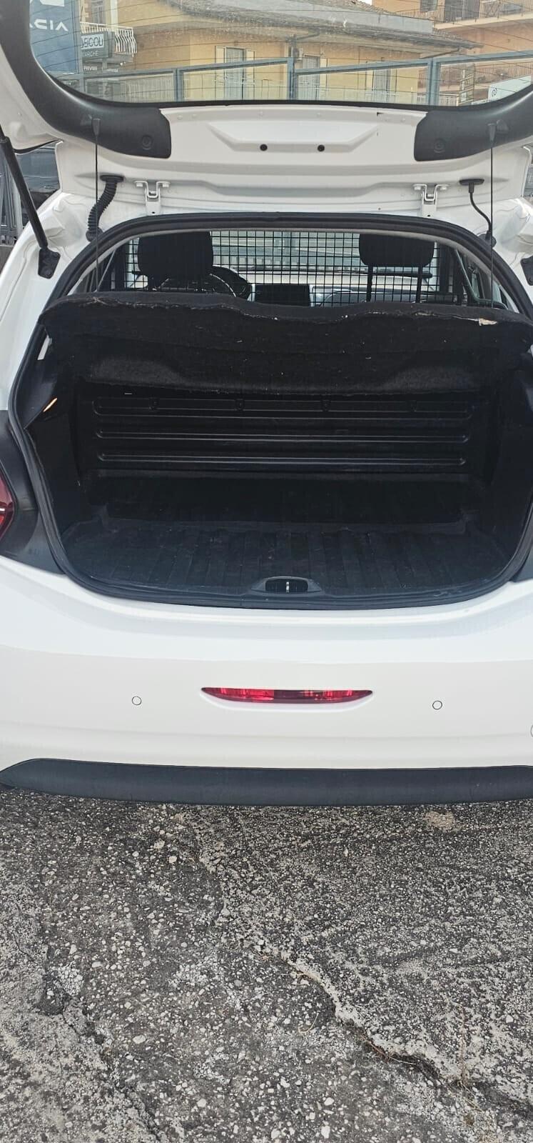 Peugeot 208 Van 1.5 diesel 100 cv anno 2020