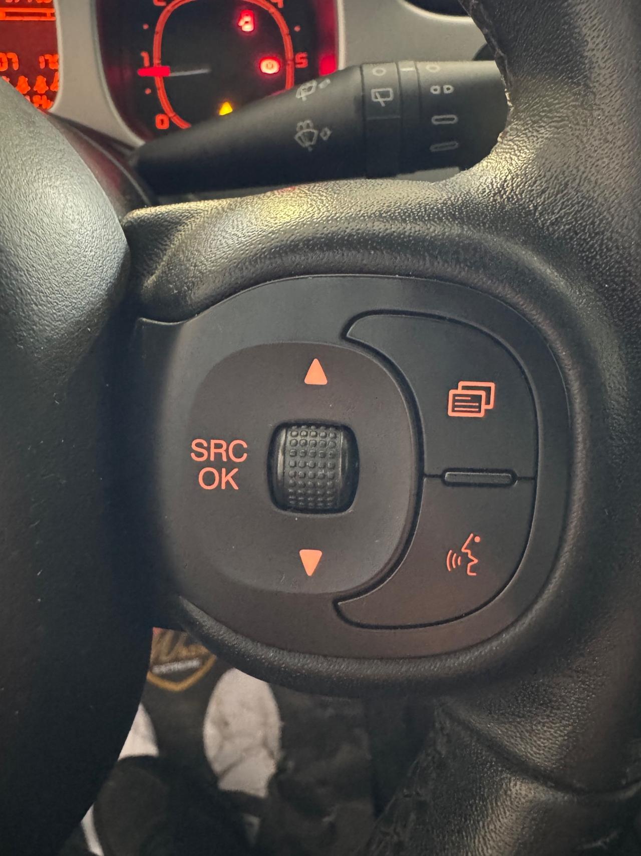 Fiat Panda Cross 1.3 MJT 95 CV S&S 4x4