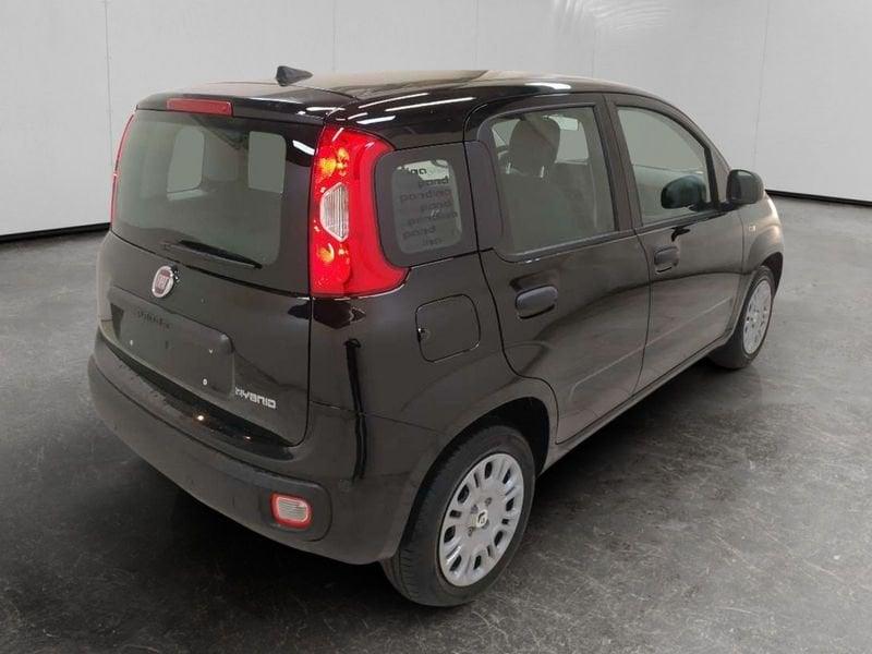 FIAT Pandina 1.0 firefly hybrid Icon s&s 70cv