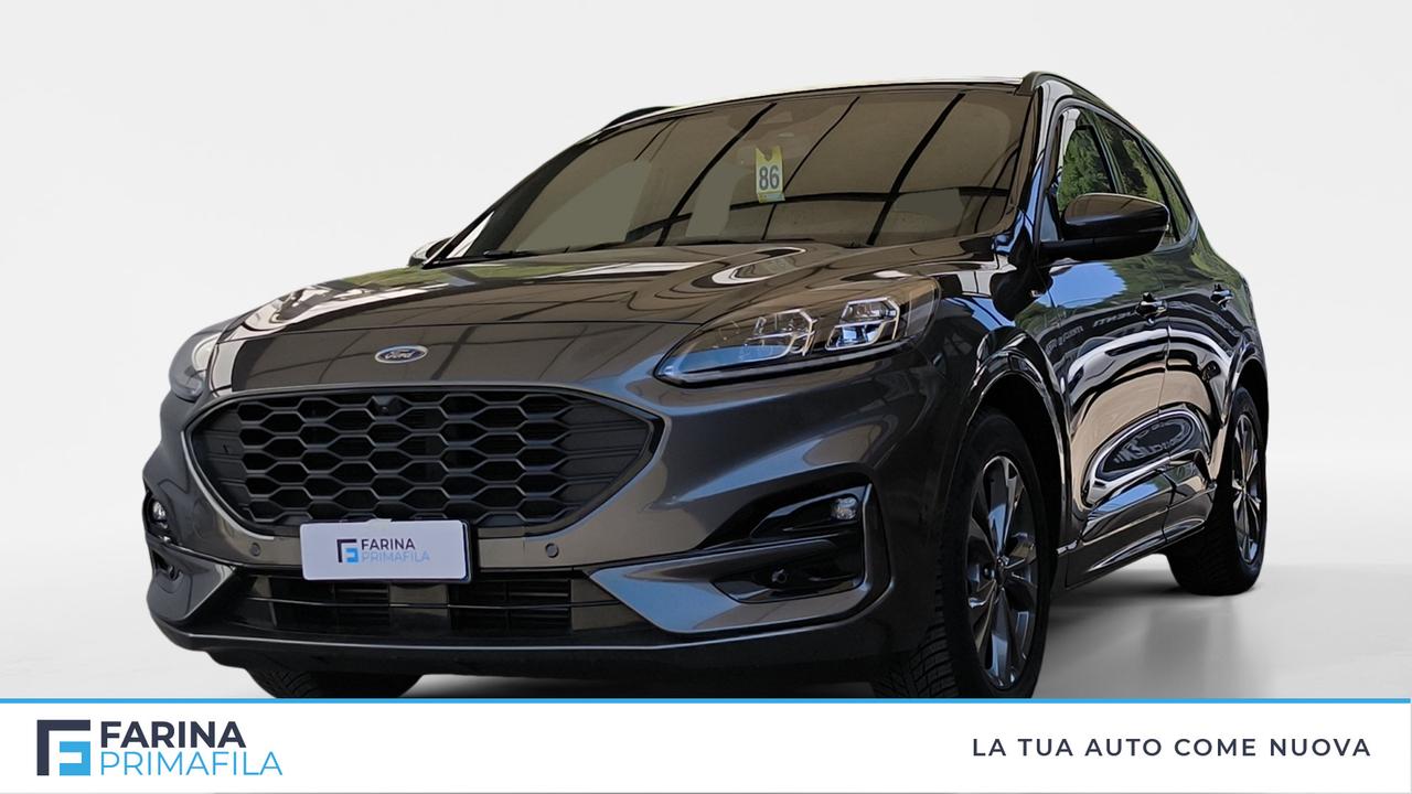 FORD Kuga III 2020 - Kuga 1.5 ecoblue ST-Line X 2wd 120cv auto