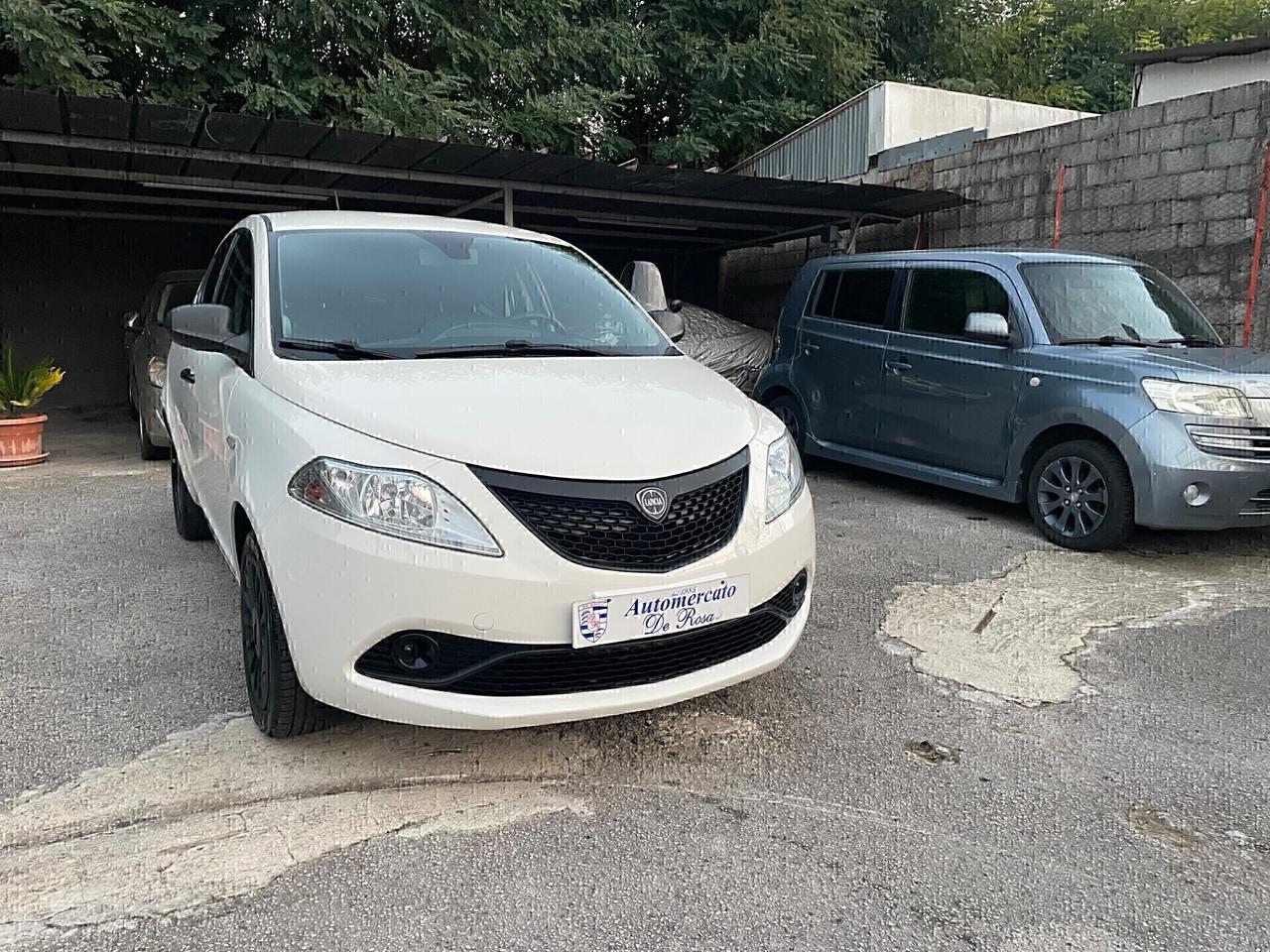Lancia Ypsilon 1.2 69 CV 5 porte S&S Elefantino Blu