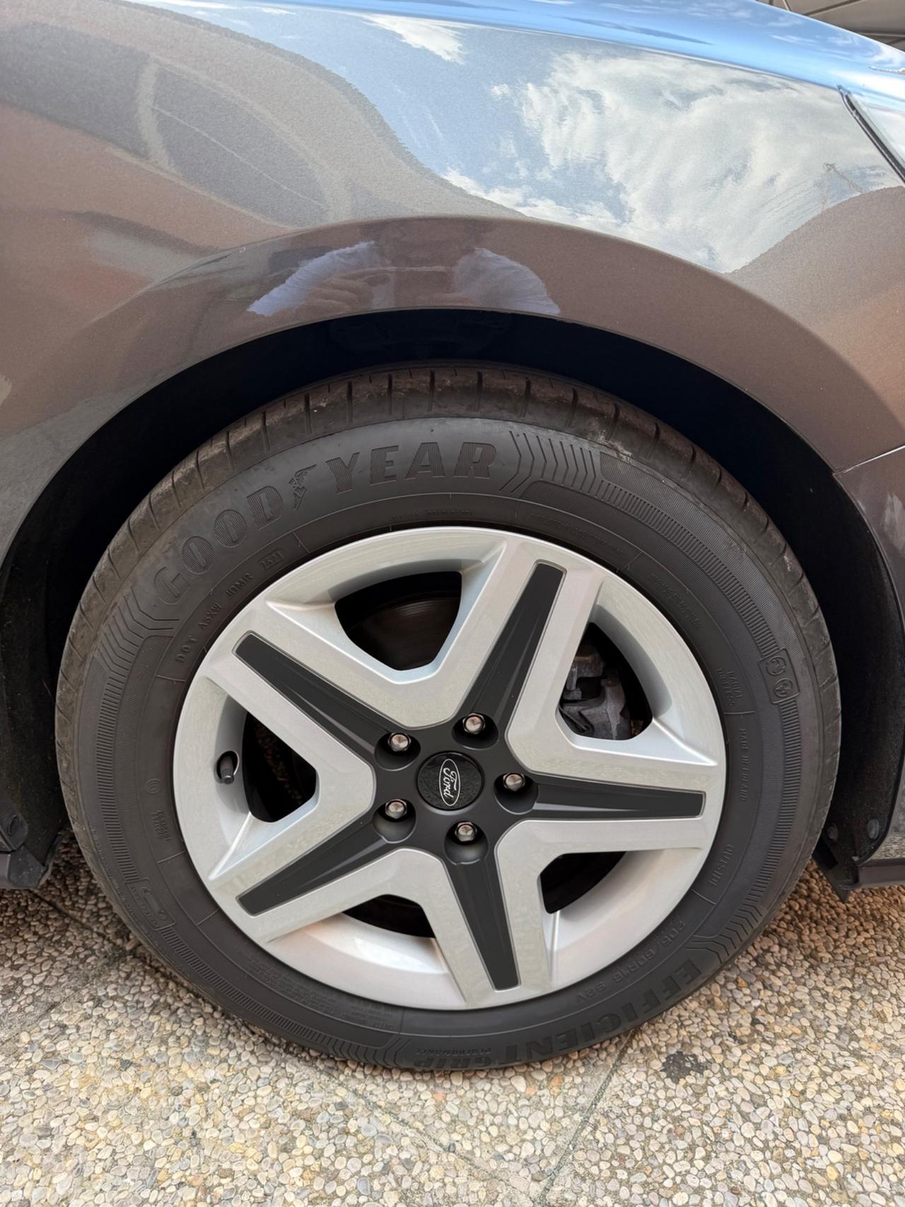 Ford Focus 1.5 EcoBlue 120 CV SW Business