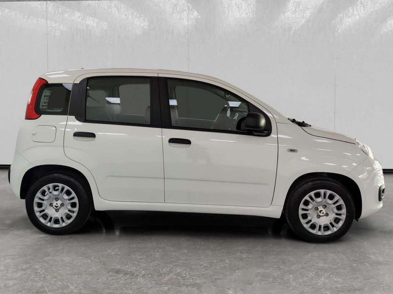 FIAT Pandina 1.0 firefly hybrid Icon s&s 70cv