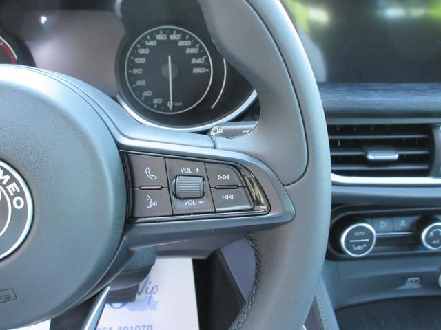 ALFA ROMEO Stelvio 2.2 Turbodiesel 190 CV AT8 Q4 Business
