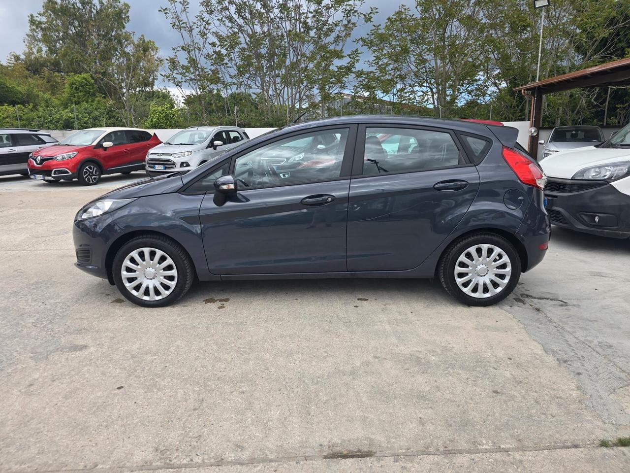 Ford Fiesta 1.6 TDCi 95CV 5 porte Business