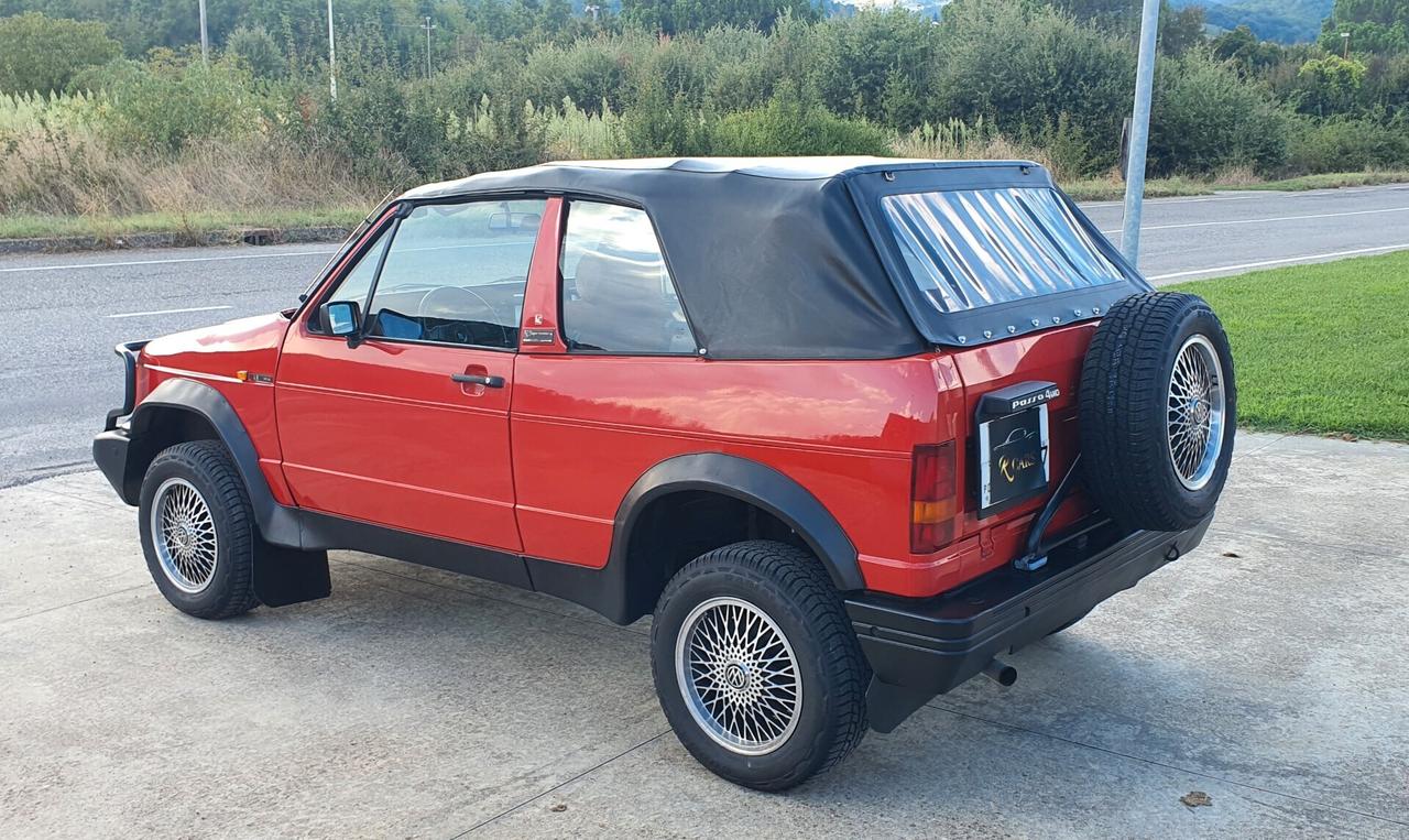 Volkswagen Golf BIAGINI PASSO 4WD