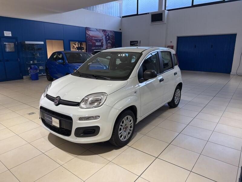 FIAT Panda 1.2 Easy 69cv S&S Euro 6D-Temp