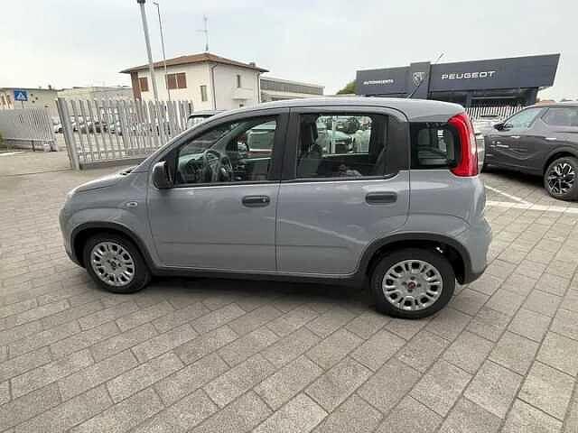 Fiat Panda 1.0 Hybrid 70cv Usato Garantito