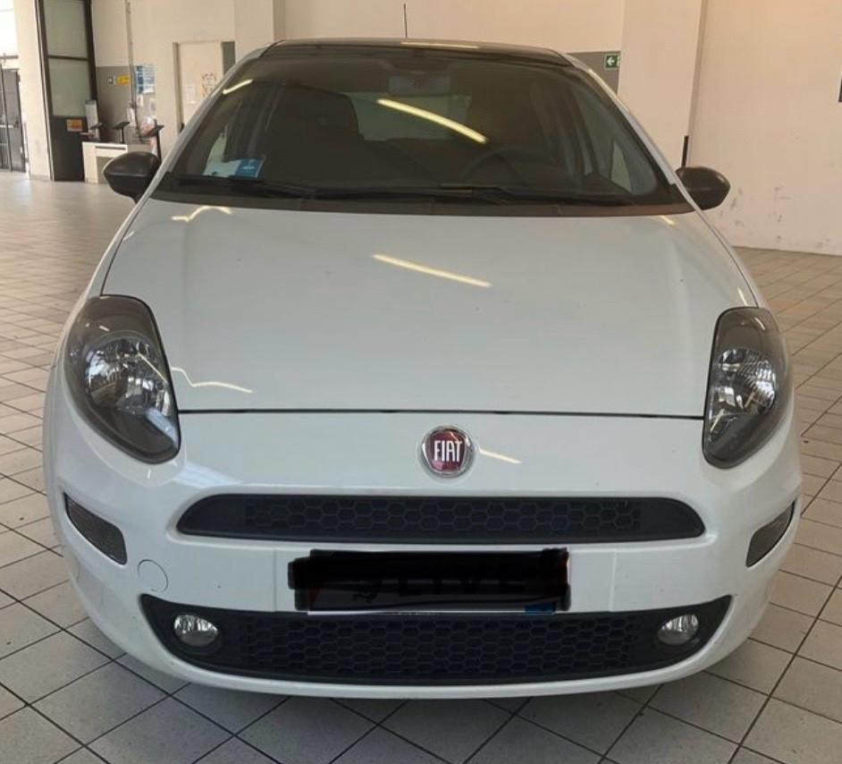 Fiat Punto 1.2 8V 5 porte Young