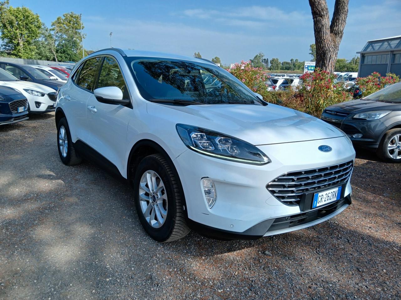 Ford Kuga 2.0 EcoBlue 120 CV aut. 2WD Titanium X