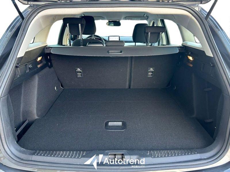 Ford Focus 1.5 EcoBlue 120 CV Automatica SW Business Co-Pilot