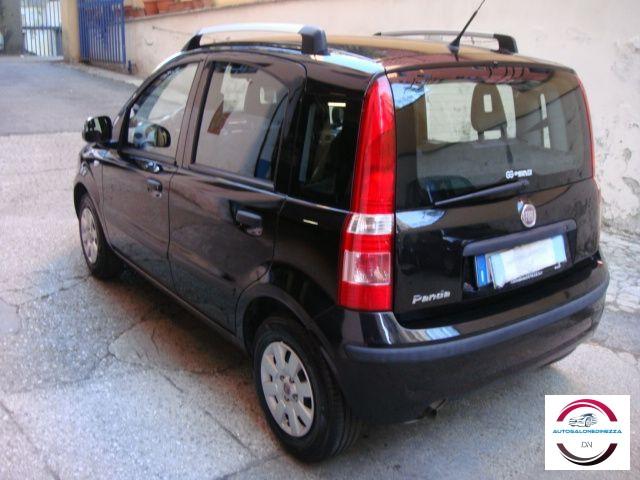FIAT - Panda - 1.2 Dynamic