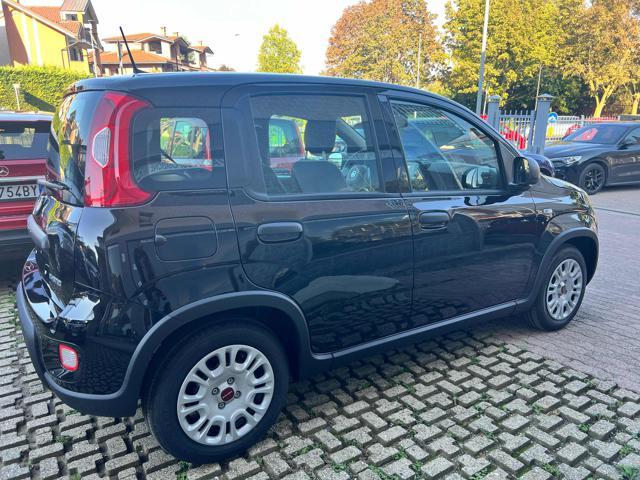 FIAT Panda 1.0 FireFly S&S Hybrid +pack