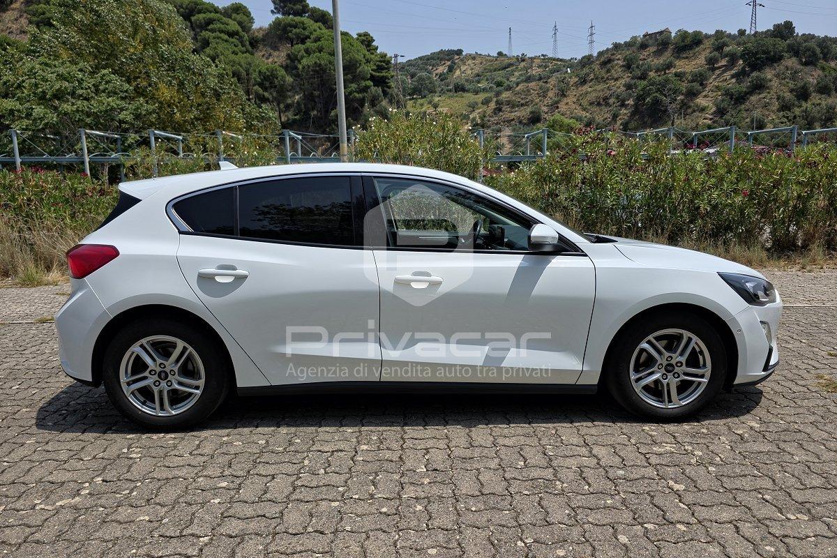 FORD Focus 1.5 EcoBlue 120 CV 5p. Business