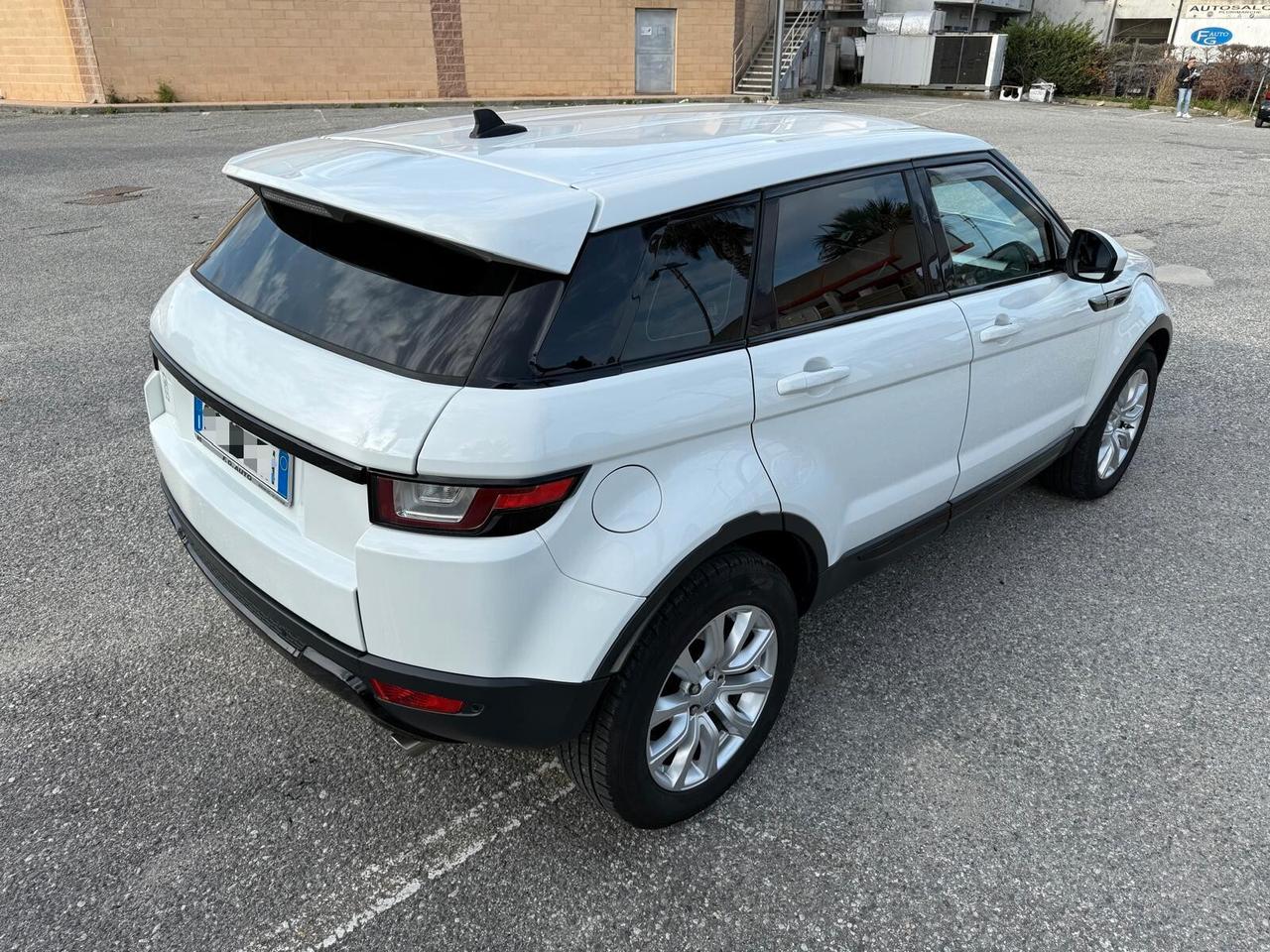 Land Rover Range Evoque 2.2 TD4 5p. Pure