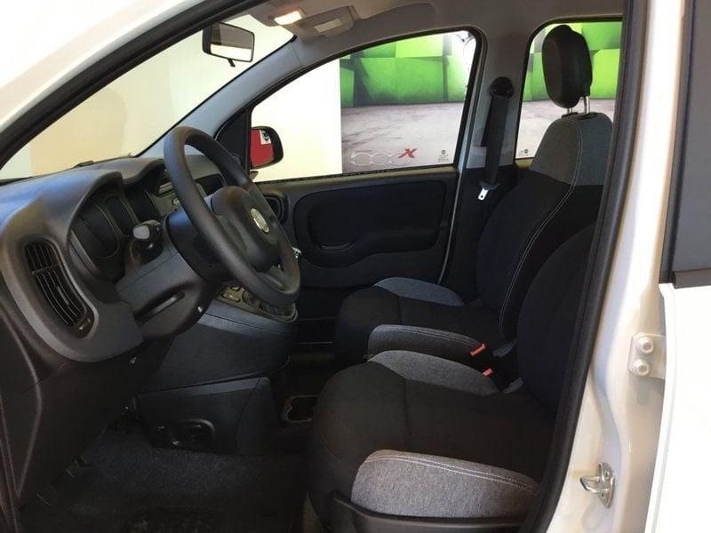 FIAT Panda Panda 1.0 FireFly S&S Hybrid S4 (5P)
