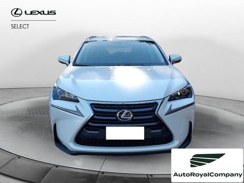 Lexus NX NX Hybrid 4WD Executive