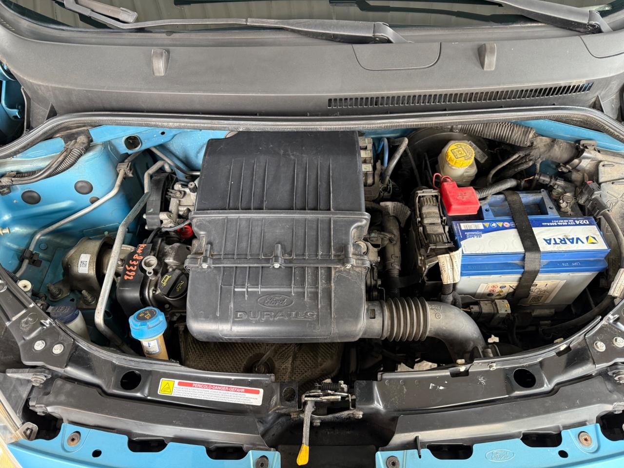 Ford Ka Ka+ 1.2 8V 69CV UNICO PROP CINGHIA FATTA