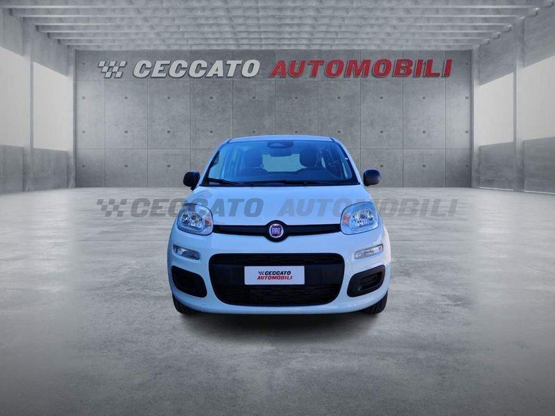 FIAT Panda Panda 1.0 firefly hybrid s&s 70cv