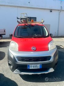 Fiorino