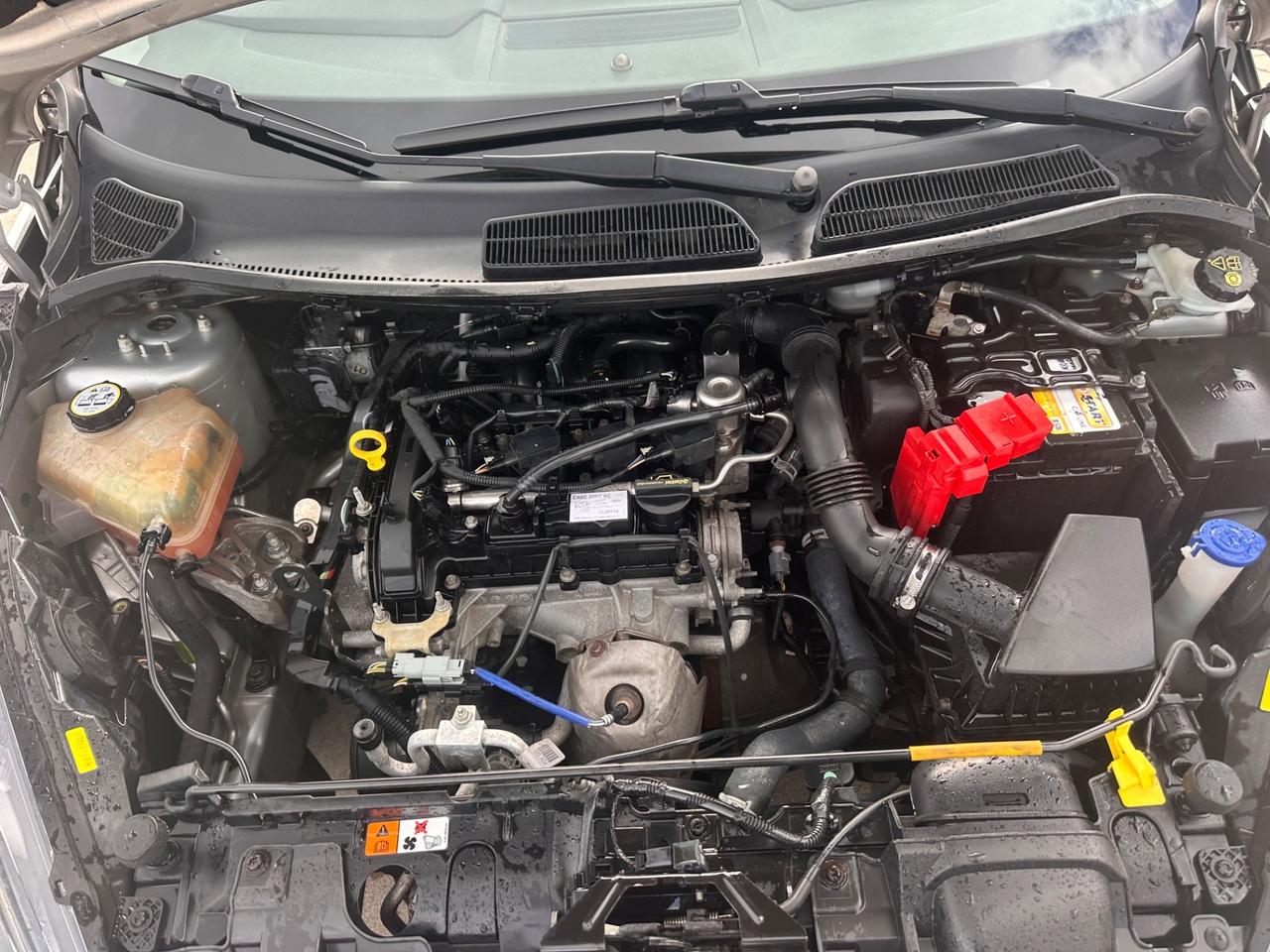 Ford Fiesta 1.0 80CV 5 porte Business 2014