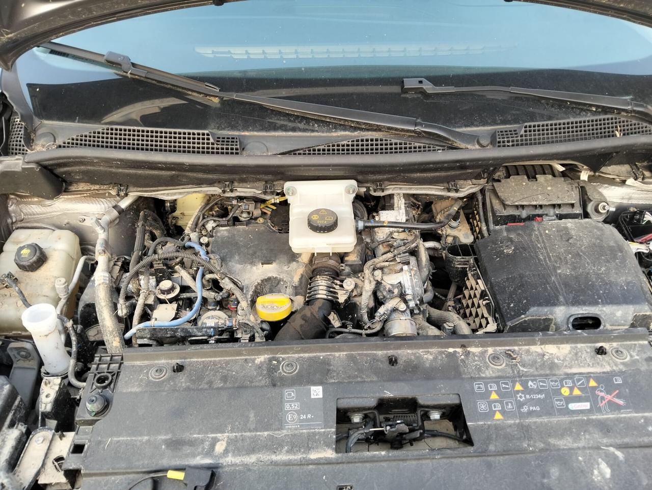 Renault Kangoo 1.5 dCi 95cv 2021 "ALLUVIONATO"