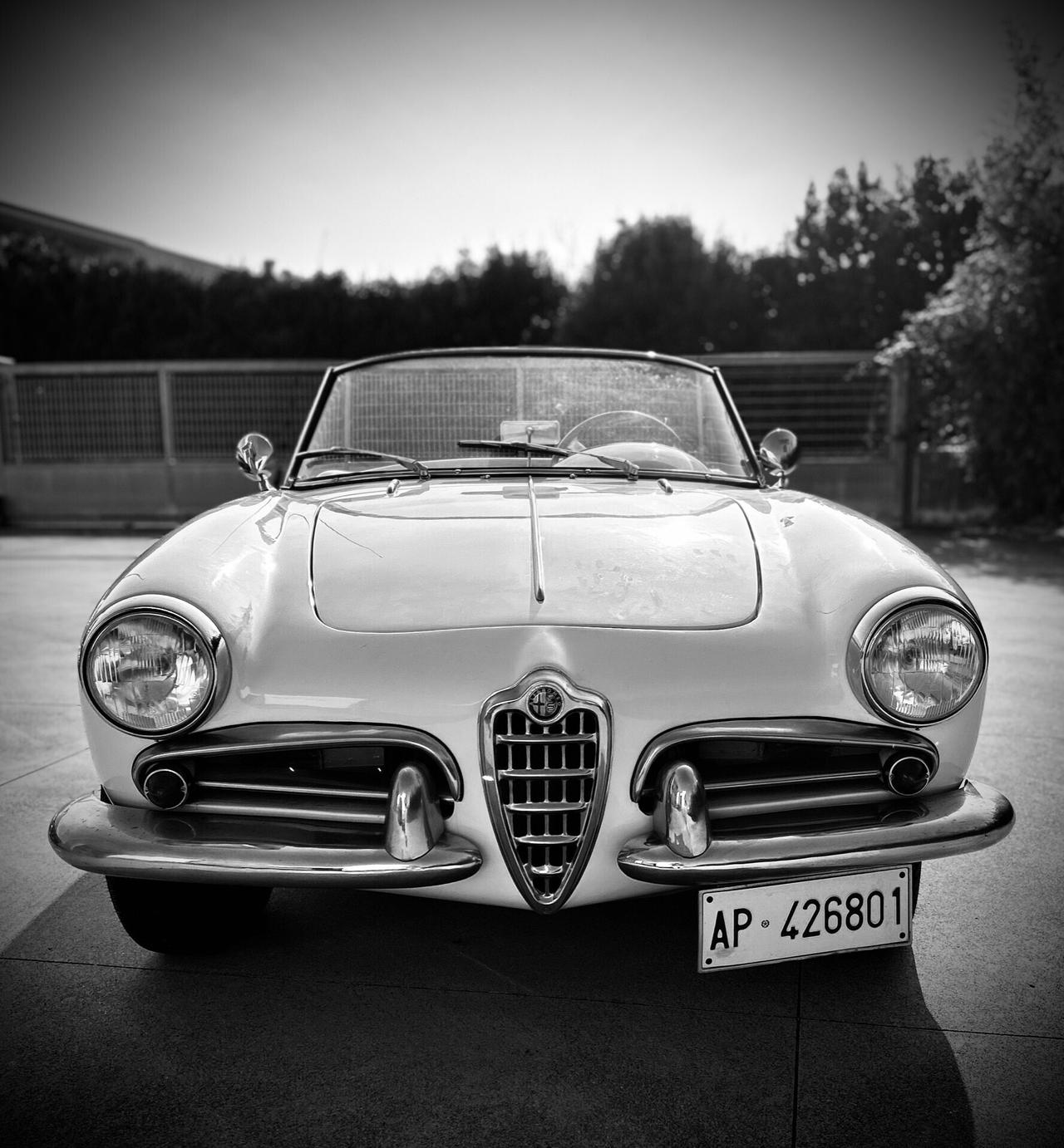 Alfa Romeo Giulietta Spider 1.3 LITRI BIALBERO - STILE PININ FARINA