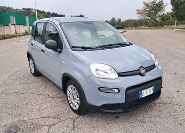 Fiat Panda 1.0 FireFly S&S Hybrid (Iva Esposta)