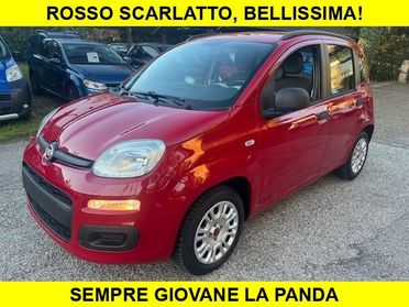 FIAT Panda 1.2 Red Collection