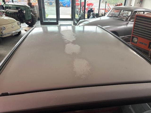 Fiat Panda 1100 i.e. cat Young