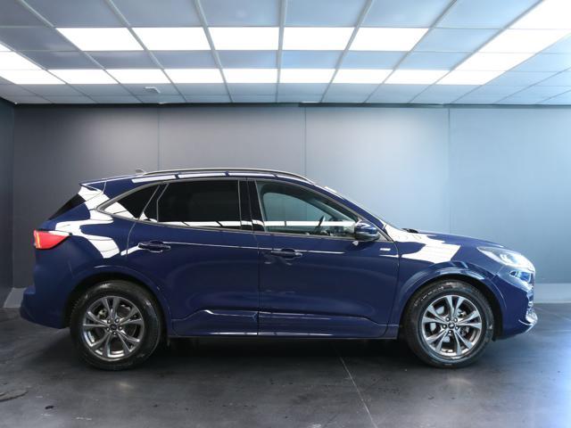 FORD Kuga 2.0 EcoBlue 120 CV aut. 2WD ST-Line