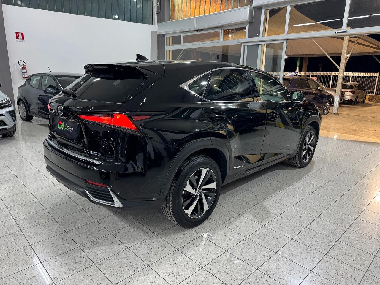 NX 300h Hybrid 4WD Luxury STRAFUL TETTO!!!!!