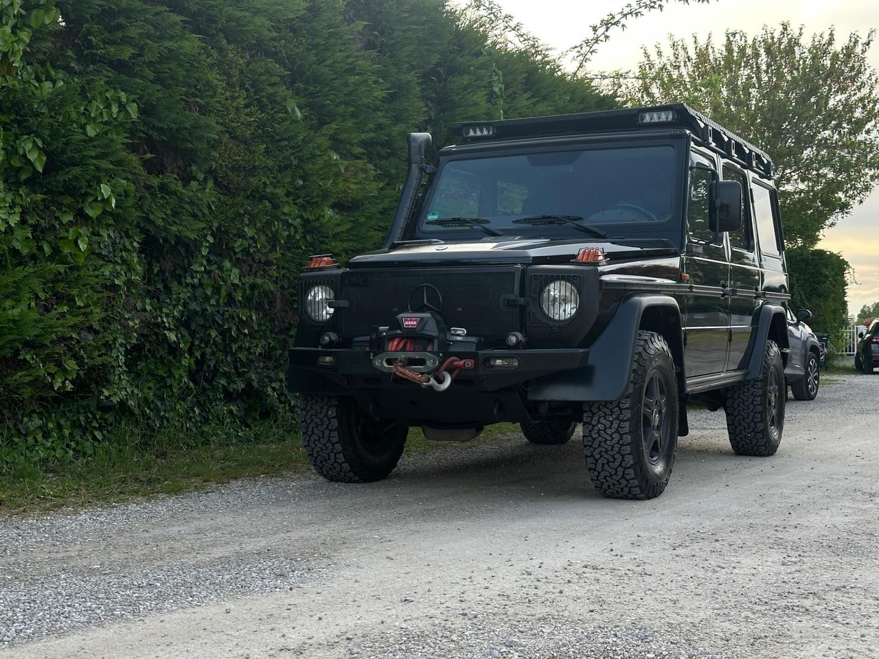 Mercedes-benz G 300 Professional